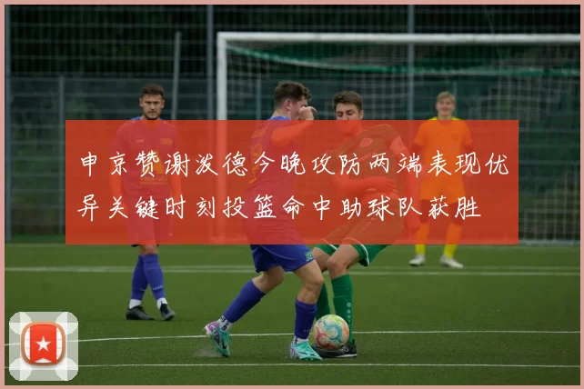 申京赞谢泼德今晚攻防两端表现优异关键时刻投篮命中助球队获胜